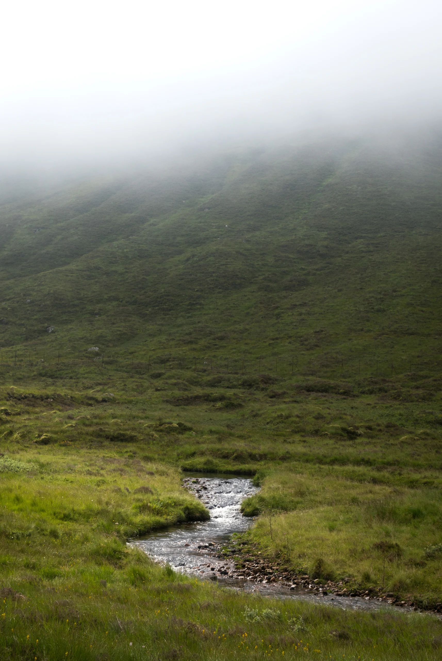 A narrow stream winding through misty hills in the Scottish Highlands.